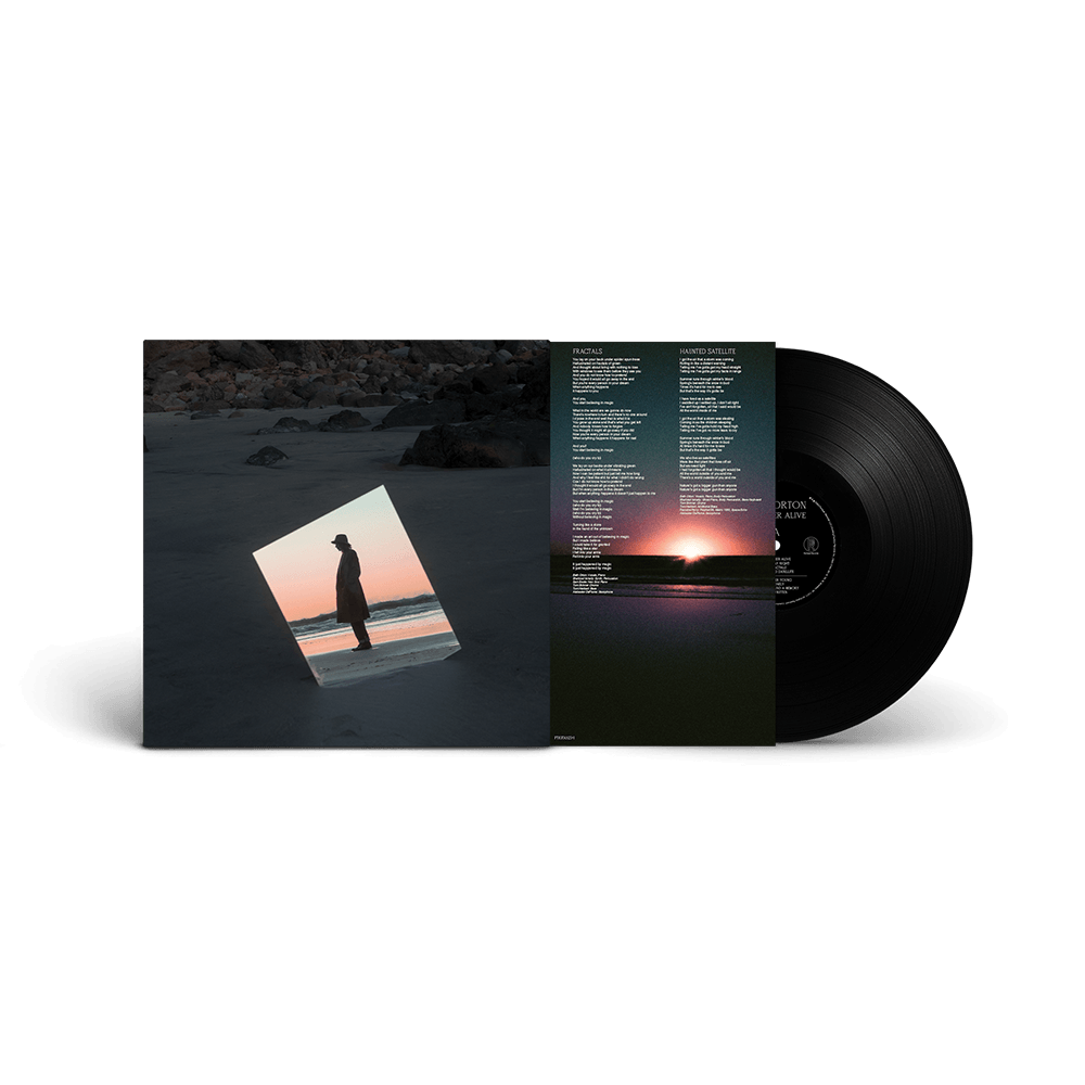 Weather Alive Standard LP